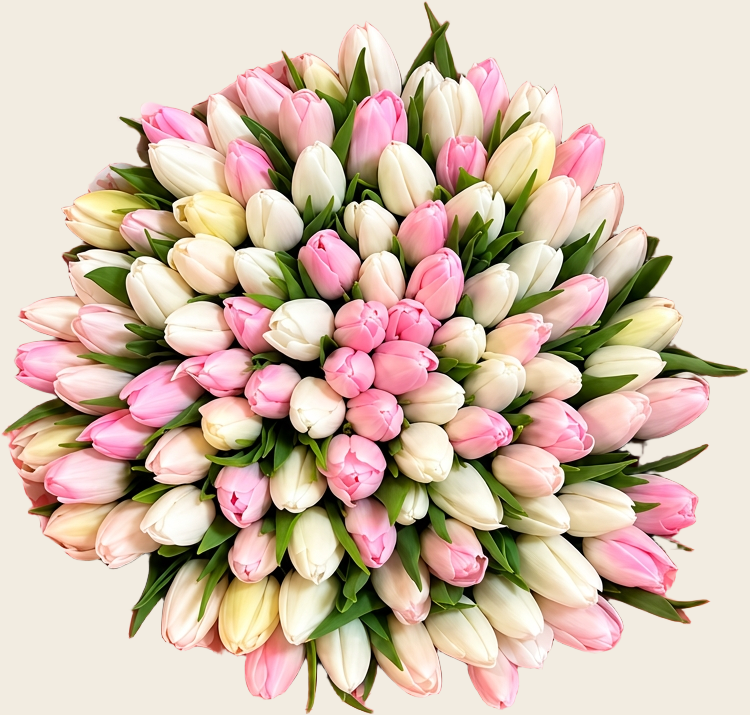 100 tulip bouquet